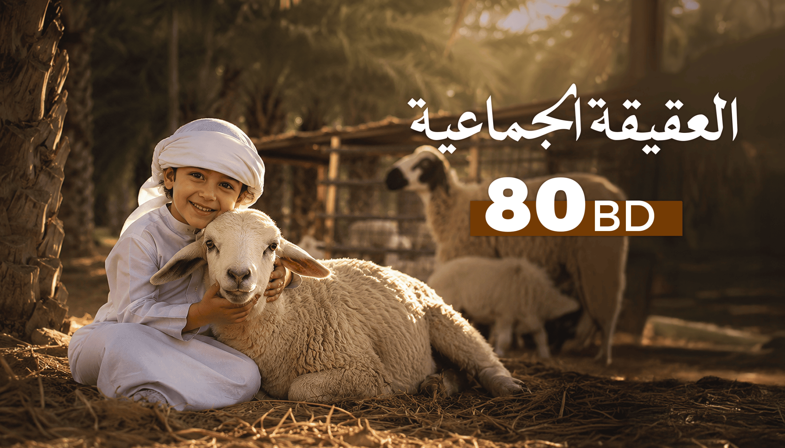العقيقة الجماعية